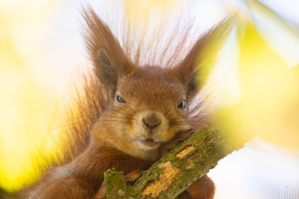 Вфото УНІАН Вфото УНІАН
