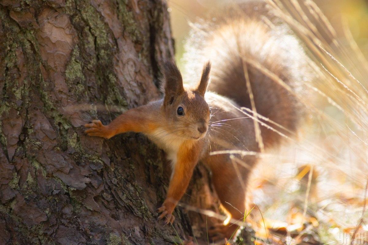 В Украине станет теплее / фото УНИАН В Украине станет теплее / фото УНИАН