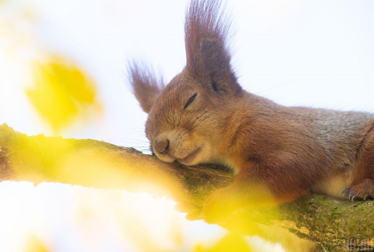 Выфото УНИАН