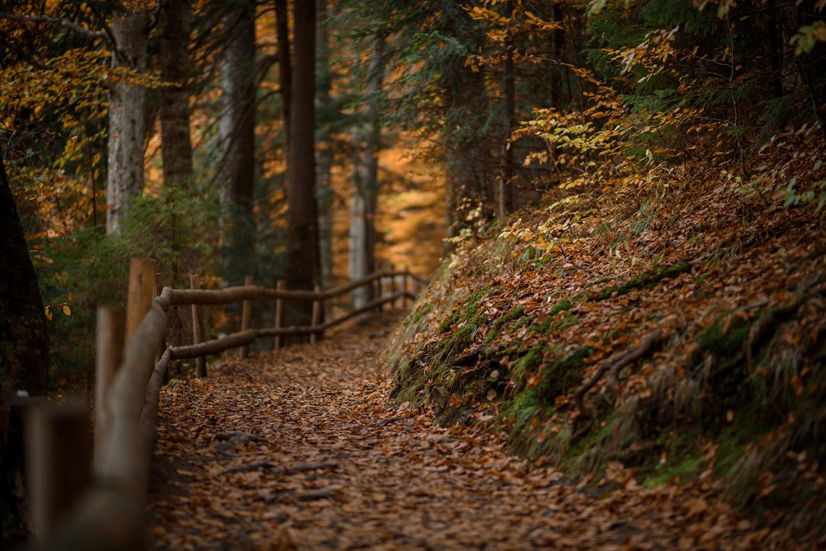https://images.unian.net/photos/2022_10/1666170060-8126.jpg?r=935595