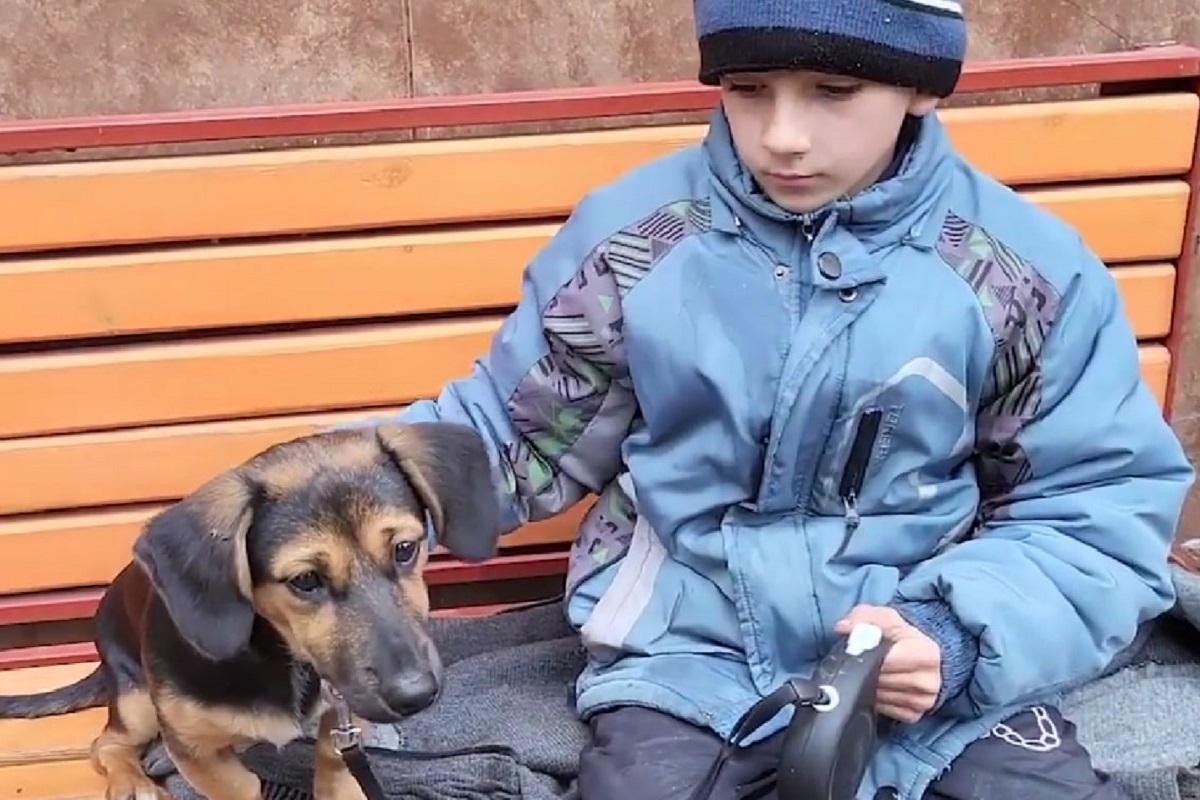 8-летний Богдан остался один под обстрелами в районе, куда практически нет доступа / скриншот