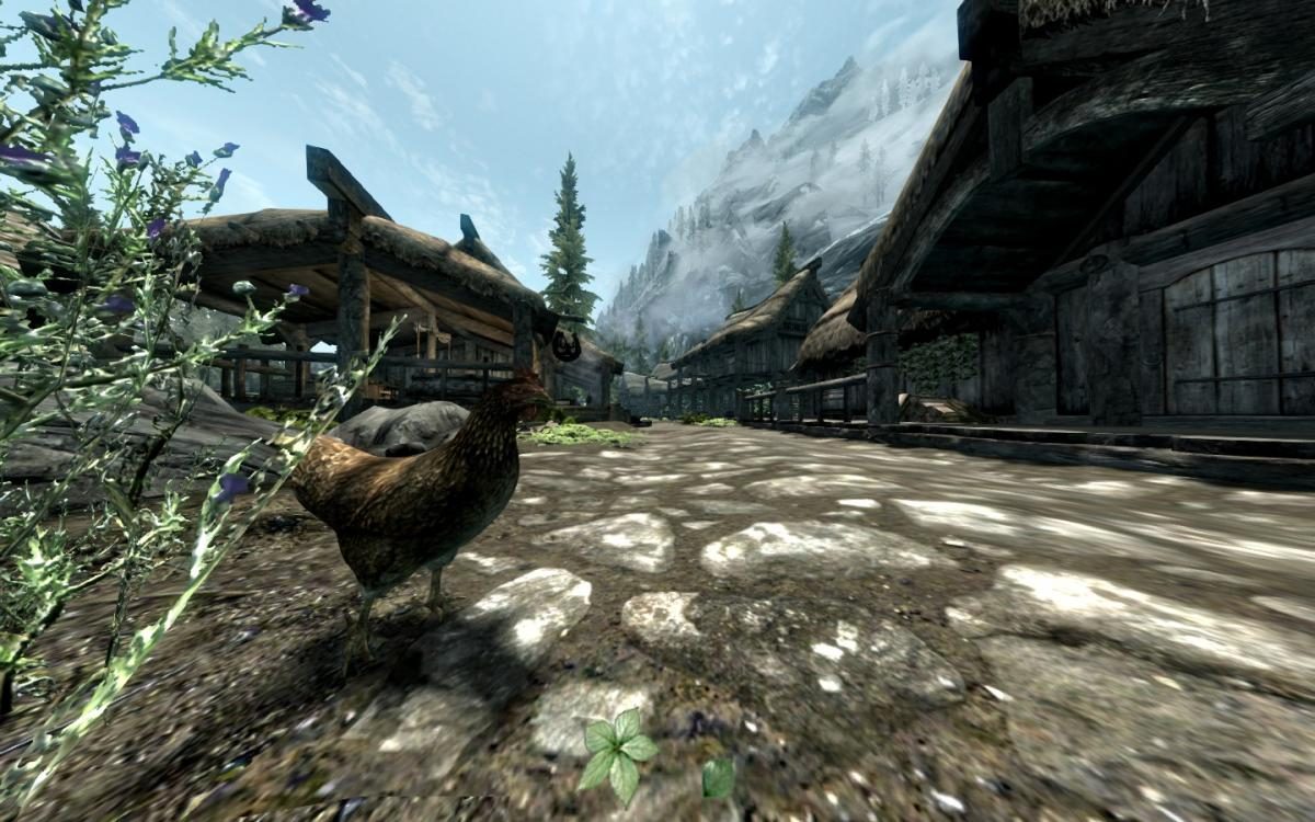 Игрок в Skyrim рассказал, как стал серийным убийцей куриц в попытке хитро  прокачать магию — УНИАН