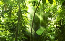 "План сталого розвитку через покоління": компанія Mars поділилася результатами за 2021 рік