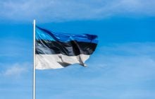 В Эстонии рассказали, будут ли депортировать военнообязанных украинских мужчин на родину