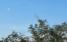 На Миколаївщині прикордонники знищили російський дрон-камікадзе