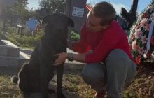 "Как не верить в жизнь после смерти": на могиле военного-зоозащитника нашли брошенных щенков