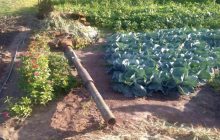 Фото облетіло мережу: російський танк з українського городу отримав друге життя (відео)