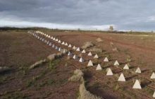 У британській розвідці розповіли, навіщо РФ готує глибоку оборону за лінією фронту на Луганщині