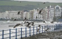 Підсанкційні російські олігархи приховують свої статки через мережу офшорів - WSJ