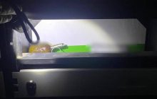 Небезпечна посилка: у Київській області жінка знайшла гранату в поштовій скриньці (фото)