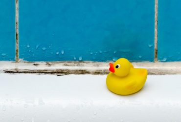 Ни грибка, ни плесени, ни затхлости: советы, как избавиться от сырости в ванной
