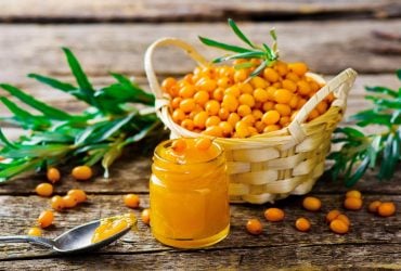 Что можно приготовить из облепихи на зиму: 4 шикарных рецепта