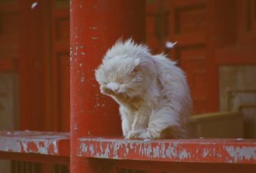 Почти по всей Украине объявили штормовое предупреждение