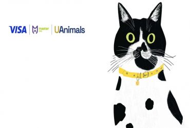 Лапка турботи: українці зможуть допомогти тваринам, які постраждали від війни