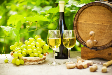 Французское вино: гид для начинающих