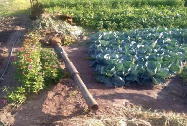 Фото облетіло мережу: російський танк з українського городу отримав друге життя (відео)