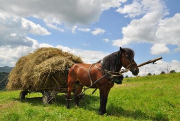 30 октября: какой сегодня народный праздник и приметы погоды, что нельзя делать