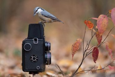 Стало відомо, яка погода чекає на українців у перші дні жовтня (карта)
