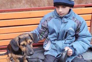 У Бахмуті врятували хлопчика: його батько та вагітна матір загинули під обстрілом (відео)