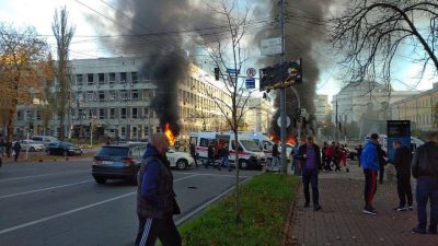 Обедающую кверху попой куницу сняли на видео в Хоперском заповеднике