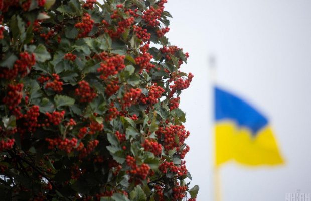 Синоптик розказала, яка погода буде в Україні на День Соборності