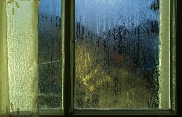 Плачут и потеют: как быстро избавиться от конденсата на окнах