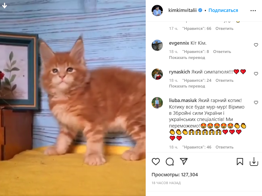 Скріншот Instagram