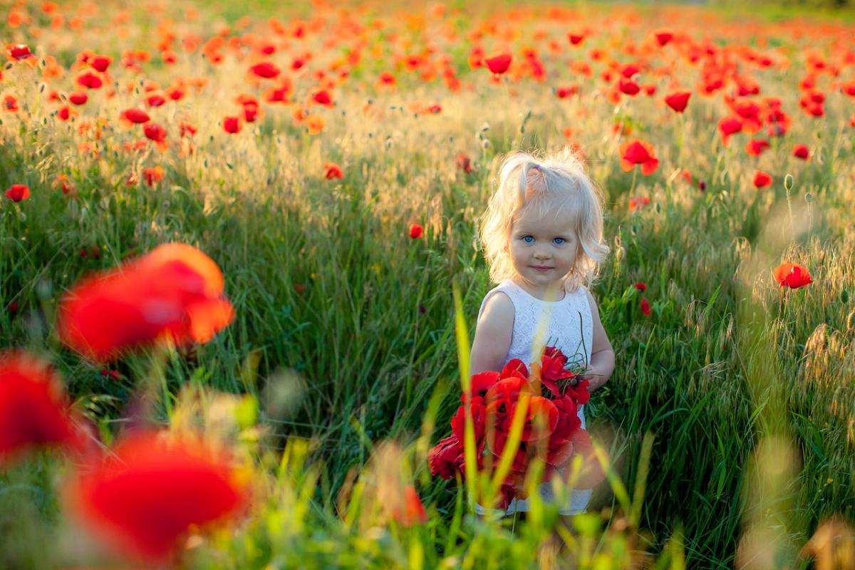 Какой сегодня праздник / фото pixabay.com Какой сегодня праздник / фото pixabay.com