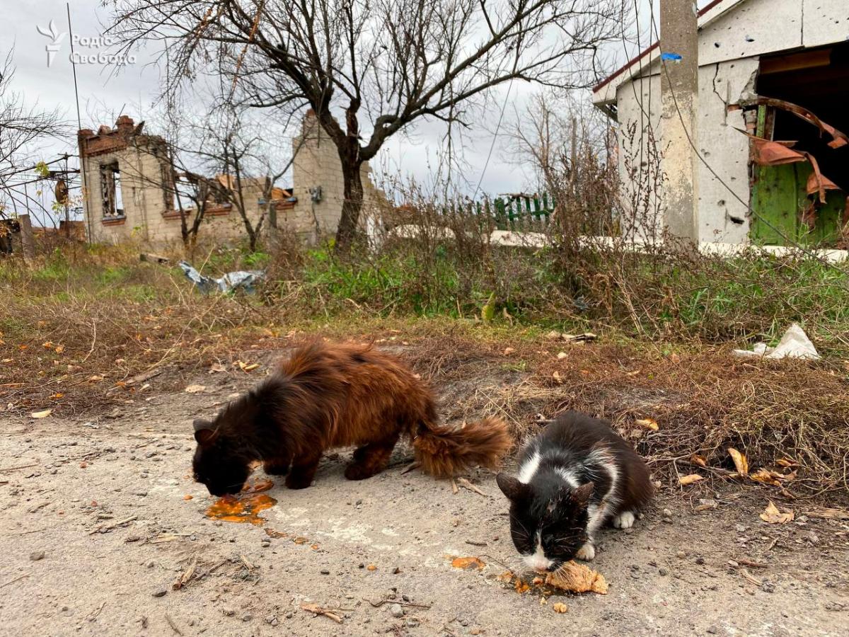 The occupiers are deliberately shelling residential buildings \ photo t.me/svoboda_radio/12030