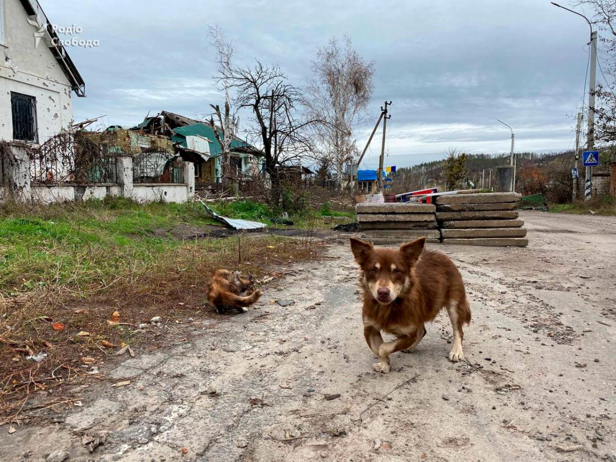 Аастролог насторожила прогнозом на найближчі дні / фото t.me/svoboda_radio/12030 Аастролог насторожила прогнозом на найближчі дні / фото t.me/svoboda_radio/12030