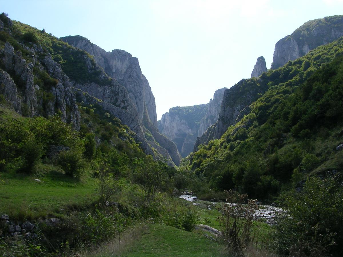 Турдська ущелье неподалеку от Клужа / фото Cristian Bortes / ro.wikipedia.org