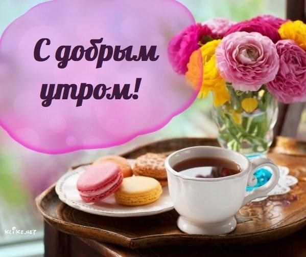 Картинки с добрым утром / фото klike.net Картинки с добрым утром / фото klike.net