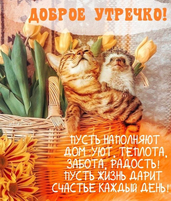 Картинки с добрым утром / фото klike.net Картинки с добрым утром / фото klike.net