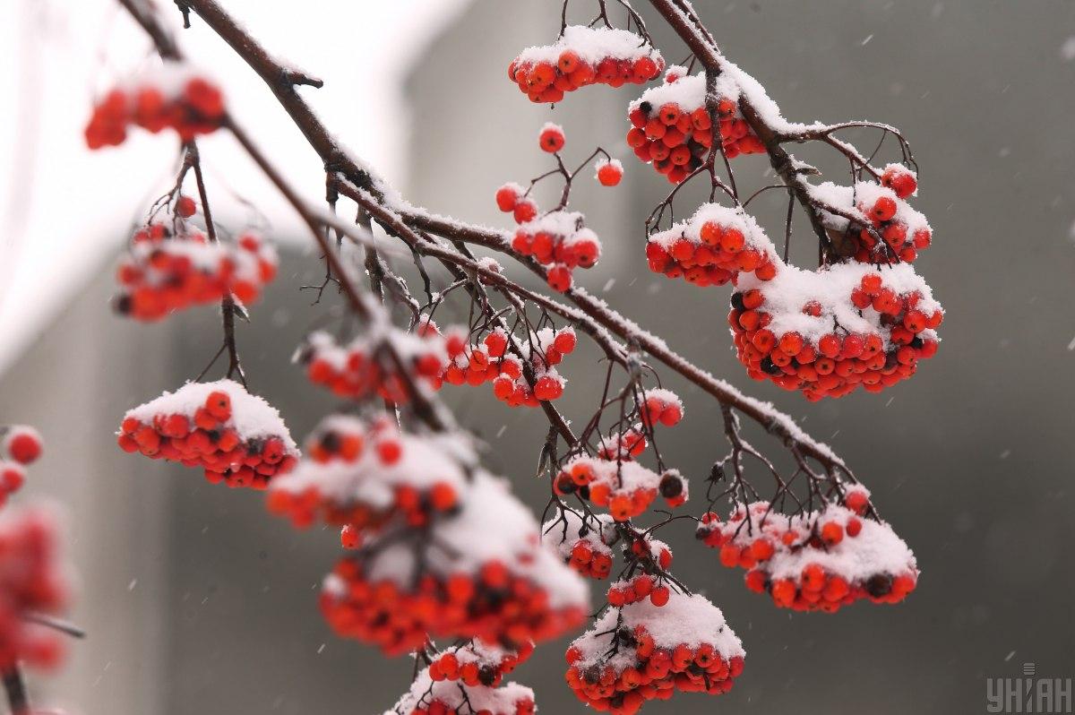 В Киеве выпал снег / фото УНИАН (Александр Синица)