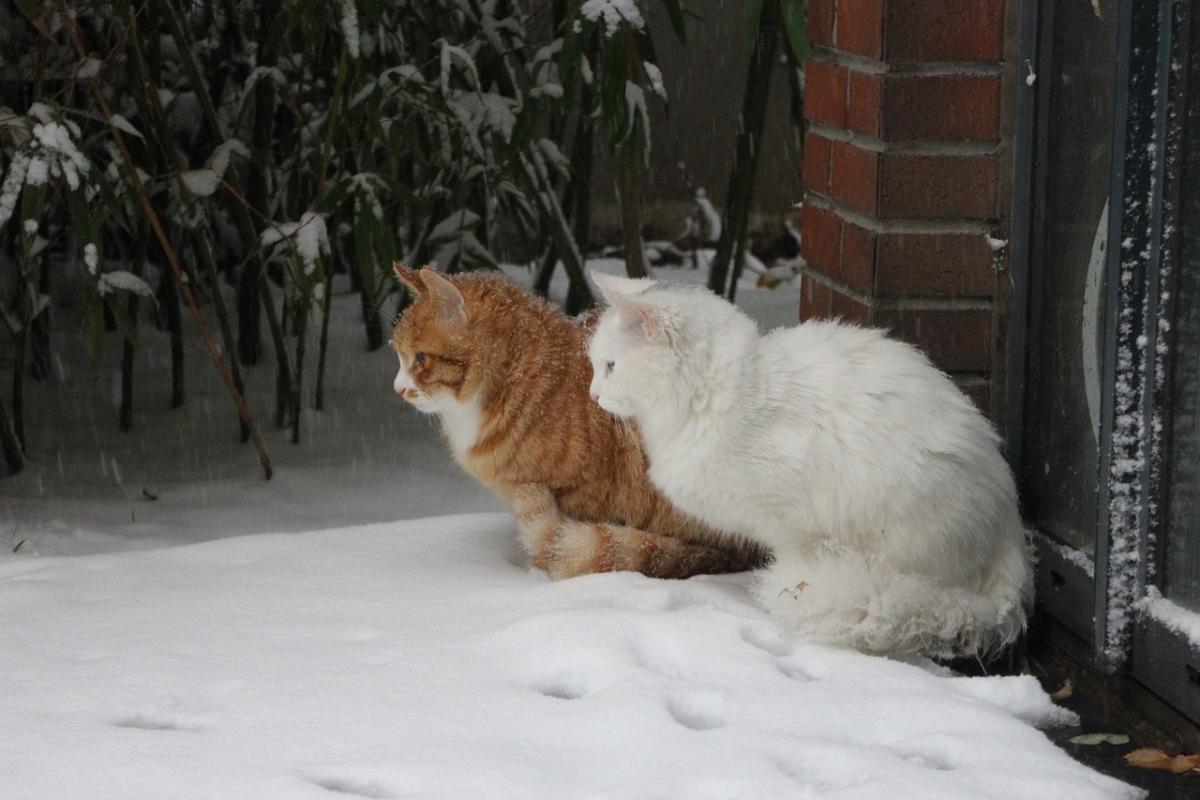 В Украине вскоре должно похолодать / фото Annalisa Ideler, Pixabay В Украине вскоре должно похолодать / фото Annalisa Ideler, Pixabay