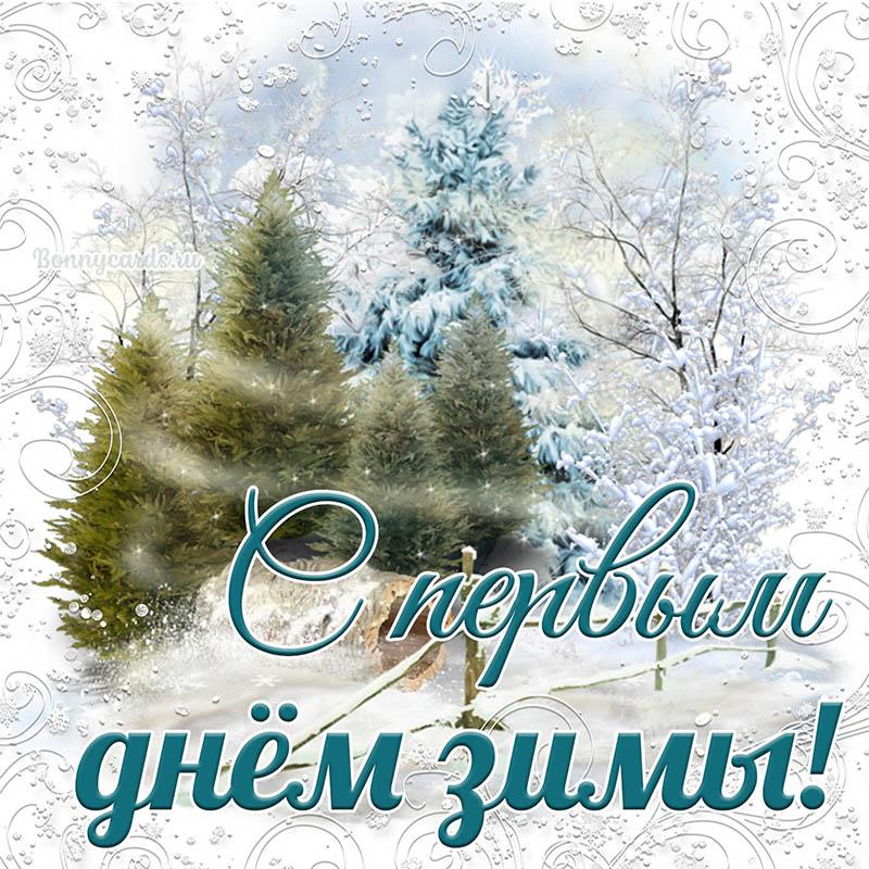 Поздравления с первым днем зимы / фото bonnycards.ru