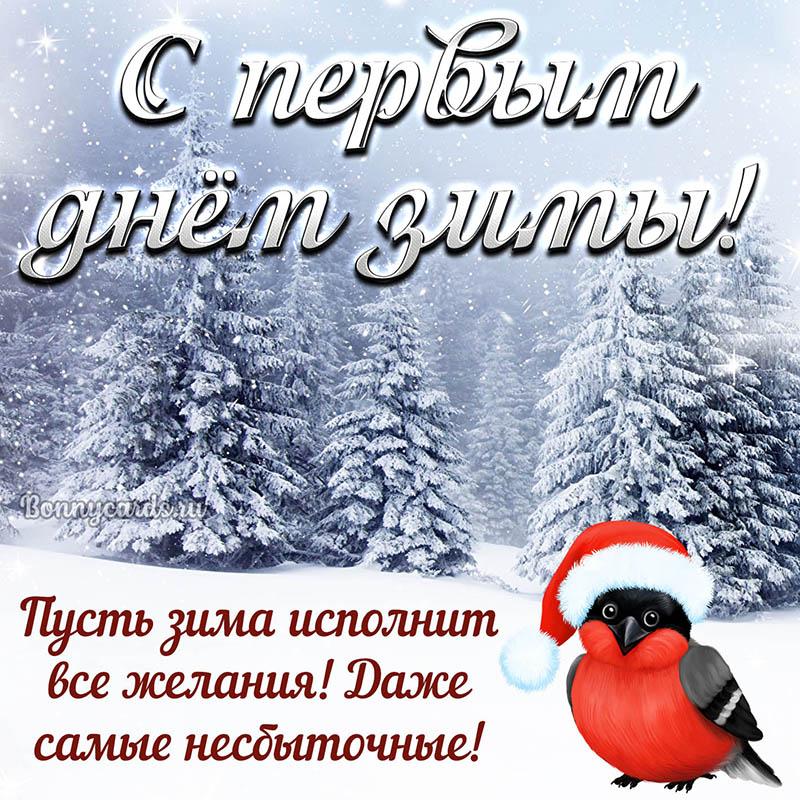 Поздравления с первым днем зимы / фото bonnycards.ru