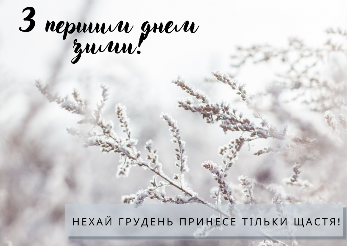Листівки з першим днем зими / фото ТСН Листівки з першим днем зими / фото ТСН