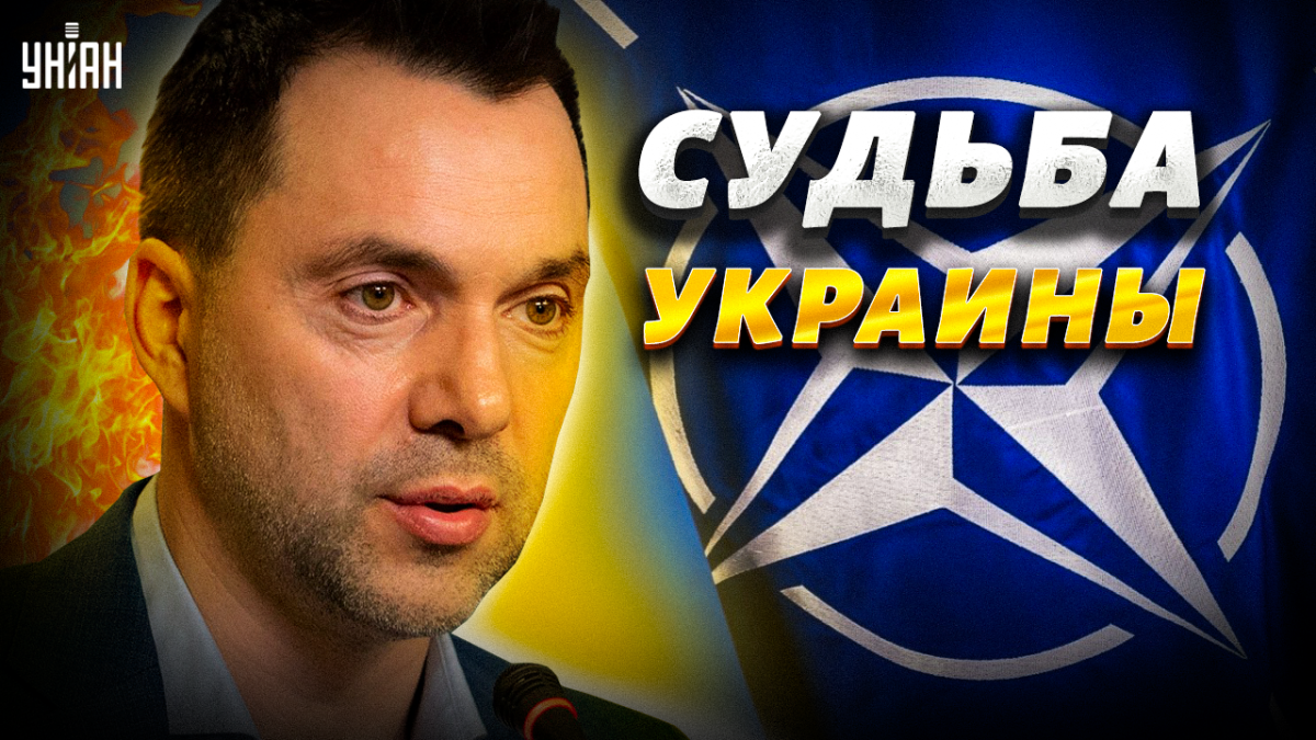 Арестович рассказал о результатах саммита НАТО для Укрианы / коллаж УНИАН