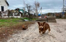 Война в Украине: астролог насторожила прогнозом на ближайшие дни
