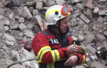 ДСНС в Миколаєві вдалося врятувати морську свинку зі знищеного обстрілом будинку (відео)