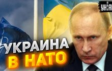 Полковник ЗСУ пояснив, чому Україна вступить до НАТО раніше, ніж всі думають (відео)