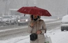 В Киеве закончился рекордно долгий период без морозов