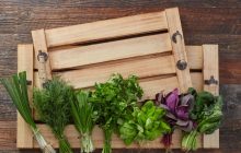 Так зберігають зелень найкращі кухарі: як продовжити життя пучкам кропу і петрушки