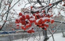 28 ноября: народный праздник сегодня, приметы погоды и запреты