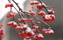 14 февраля: народные обычаи, приметы погоды и запреты