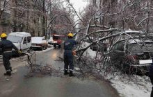 В Киеве ледяной дождь сломал две сотни деревьев, которые упали на авто и трамвайные пути (фото)