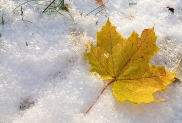 Синоптик рассказала, когда в Украине возможны первые снегопады