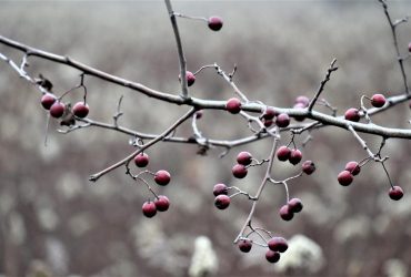 То морозы, то оттепель: украинцев предупредили о нестабильной погоде в декабре