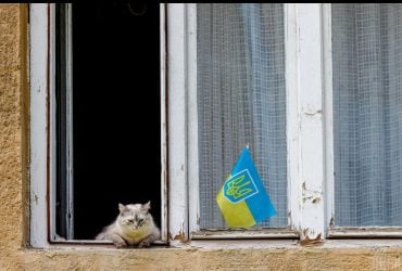 Как дешево утеплить окна: несколько полезных советов